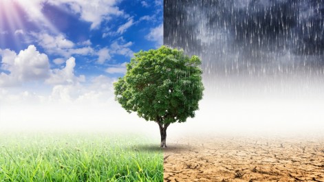Tczew - Przyjmą plan adaptacji do zmian klimatu