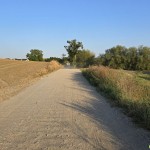 Tczew - "Boimy się, że w końcu rozjadą pieszego, albo rowerzystę"