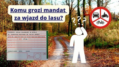 Tczew - Komu grozi mandat za wjazd do lasu?