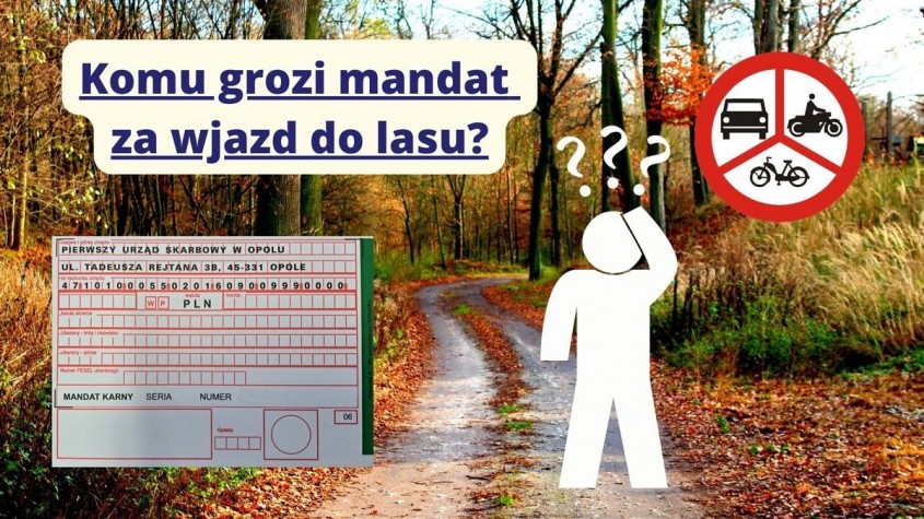 Tczew - Komu grozi mandat za wjazd do lasu?