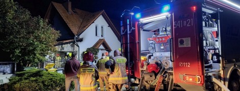 Tczew - Pożar w Rokitkach. W akcji siedem zastępów straży