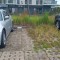 Tczew - Jesteśmy zaniepokojeni stanem parkingu