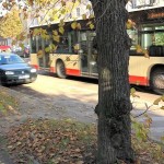 Tczew - Dodatkowe linie autobusowe dowiozą na cmentarze