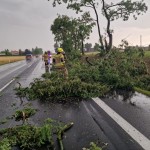 Tczew - 22 interwencje po burzy w powiecie tczewskim