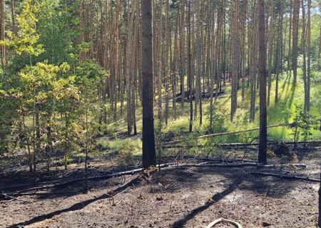 Tczew - Płonął las w Jaźwiskach