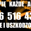 Tczew - Skup Aut t.513104404 Całe Uszkodzone, stare Dobre