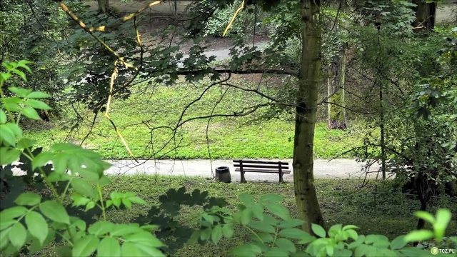 Tczew - Park Miejski. Jest zielone światło od konserwatora