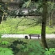 Tczew - Park Miejski. Jest zielone światło od konserwatora