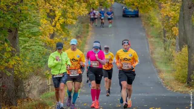 Tczew - Maraton/Półmaraton Nadwiślański Szlakiem Doliny Dolnej Wisły w Tczewie