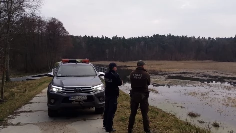 Tczew - Wspólne działania policjantów i strażników w podtczewskich lasach