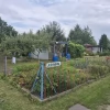 Tczew - Działka ROD - Tczew Suchostrzygi