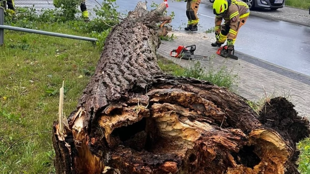 Tczew - Pożar, uszkodzony dach i wiatrołomy