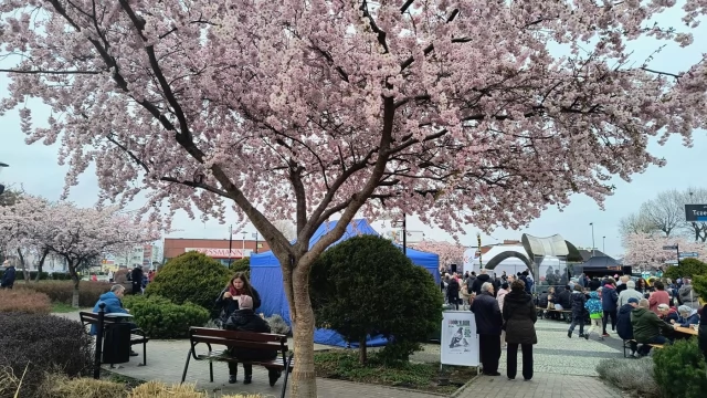 Tczew - Wielkanocne Spotkanie Tczewian