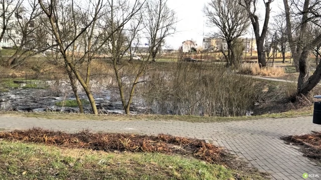 Tczew - Stawek ma znowu być stawkiem